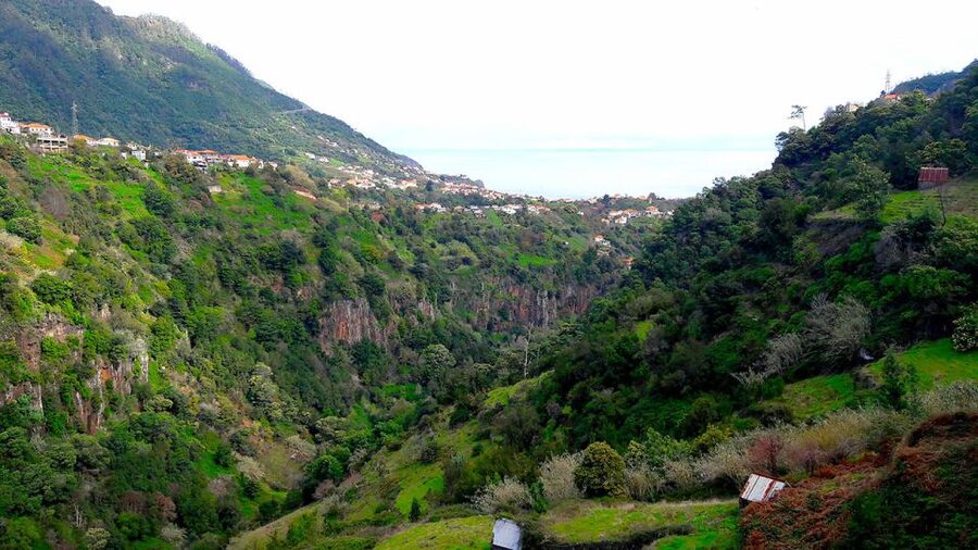 Referta / Castelejo - Levada Walk - Who should book this tour, and who might skip it