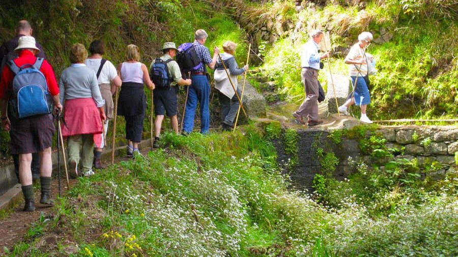 Referta / Castelejo - Levada Walk - The walk itself: a gentle start, levada-history spotting, and plant life you’ll notice