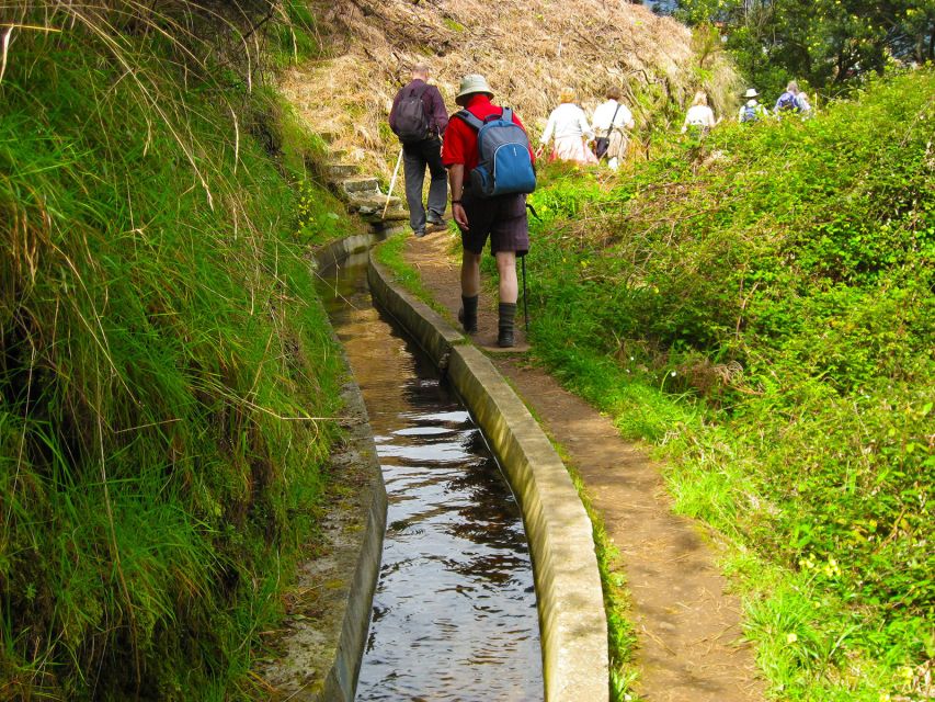 Referta / Castelejo - Levada Walk - The photo moment: Penha d’Águia and the 590-meter Eagle’s Rock view
