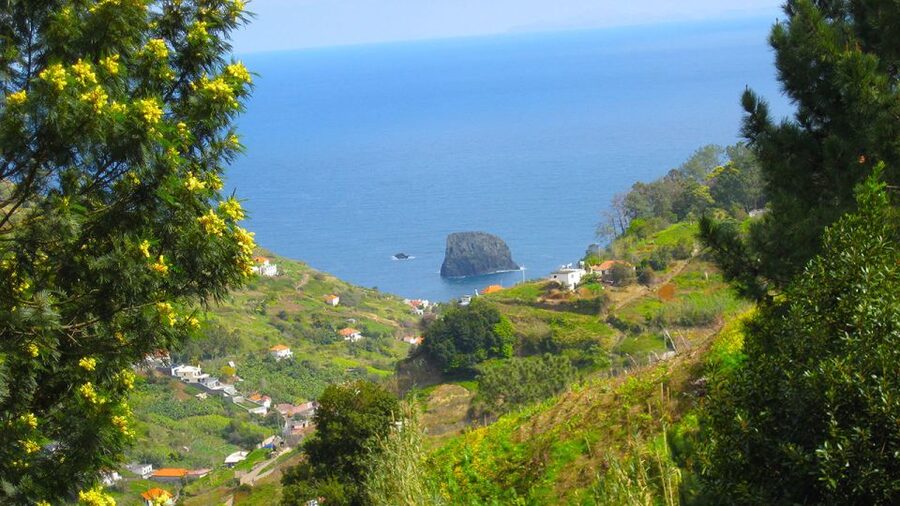 Referta / Castelejo - Levada Walk - Finishing in Porto da Cruz: the cafe/poncha reward