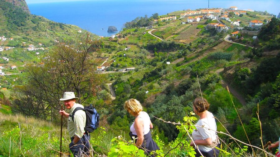 Referta / Castelejo - Levada Walk - Guides make the difference: what to watch for in the tour style