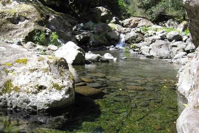 Referta Castelejo Levada Walk from Funchal - Getting To Porto da Cruz: The Funchal Morning Setup