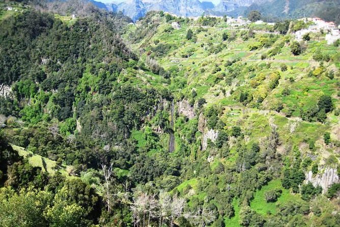 Referta Castelejo Levada Walk from Funchal - Penha d’Aguia Views: Farms, Houses, and How the Island Works