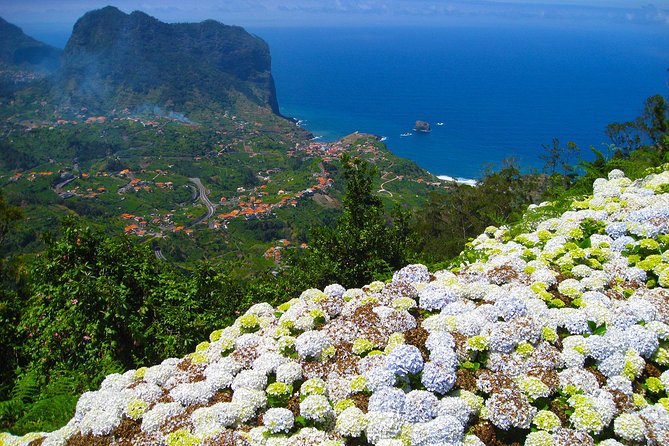 Referta Castelejo Levada Walk from Funchal - The Heart of It: Levada do Castelejo in Refertas