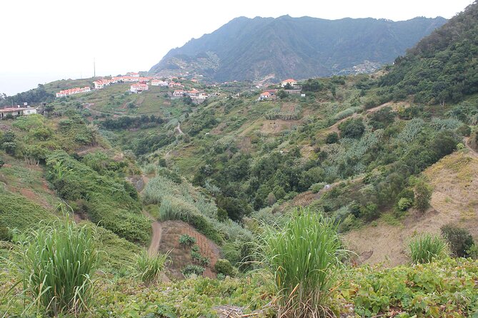 Referta - Castelejo Walk - Flora stops with Rodrigues-style plant talk