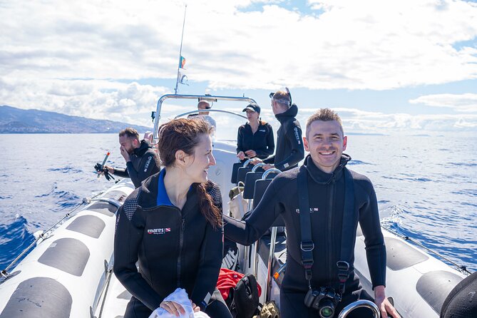Responsible Whales and/or Dolphins Watching Tour - Who this tour fits best (and who should think twice)