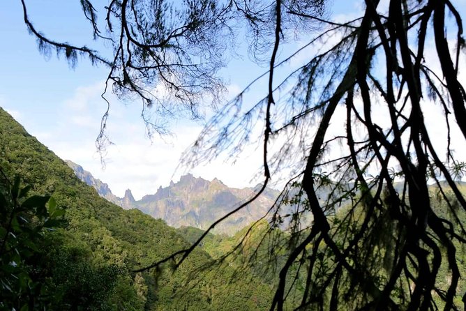 Ribeiro Frio - Portela - Morning Start: Pickup From Funchal and a Smooth Transfer to the Trail