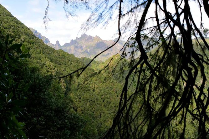 Ribeiro Frio - Portela - The 11 km Walk: Levadas, Views, and Bird-Life Moments