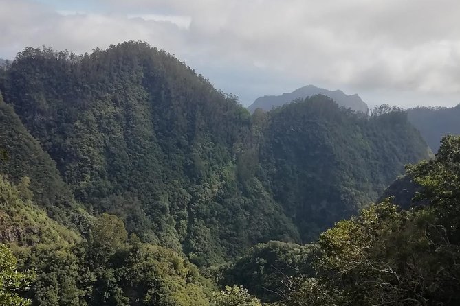Ribeiro Frio - Portela - When Weather Changes Everything: How Guides Keep the Views Alive