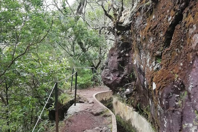Ribeiro Frio - Portela - The Finish: A Planned Drink Stop After Your Effort
