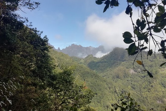 Ribeiro Frio - Portela - Price and Value: Why This Costs About $54 (and Who It’s For)