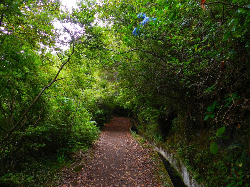 Ribeiro Frio / Portela - Levada Walk - Key things I think you’ll notice right away