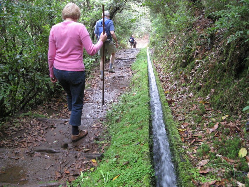 Ribeiro Frio / Portela - Levada Walk - Garden and trout pond moments you shouldn’t rush