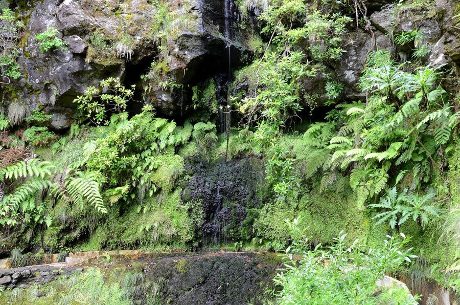 Ribeiro Frio / Portela - Levada Walk - Near Lamaceiros: Porto da Cruz and Eagle Rock, far below