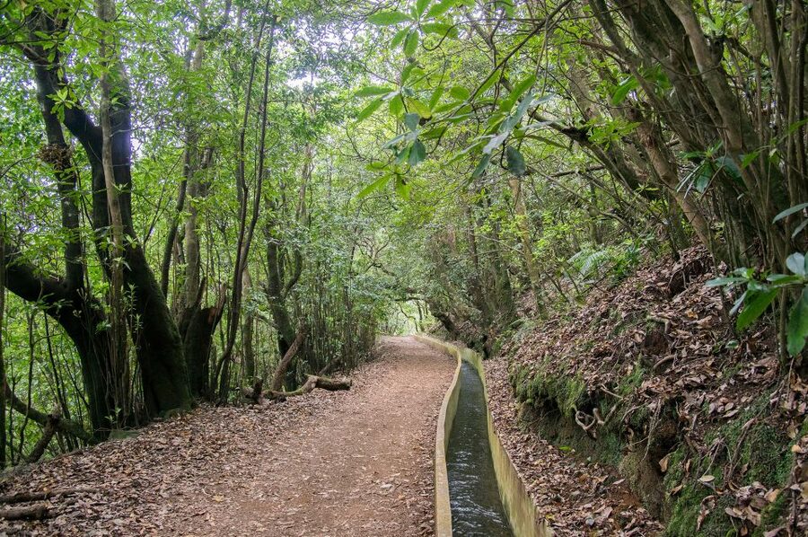 Ribeiro Frio / Portela - Levada Walk - Price and what you get for your $50