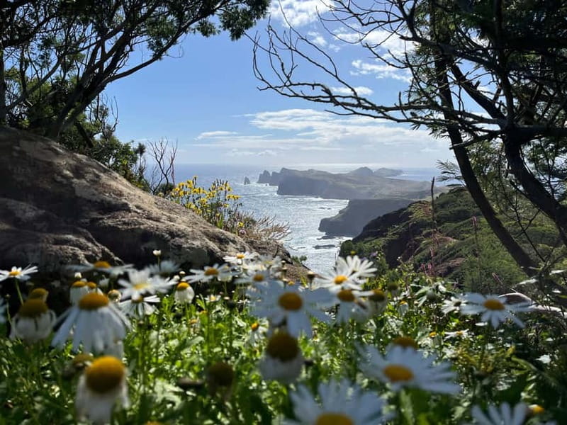 Santana: 4x4 Full-Day Tour to Northeast of Madeira Island - Key things I think you’ll care about