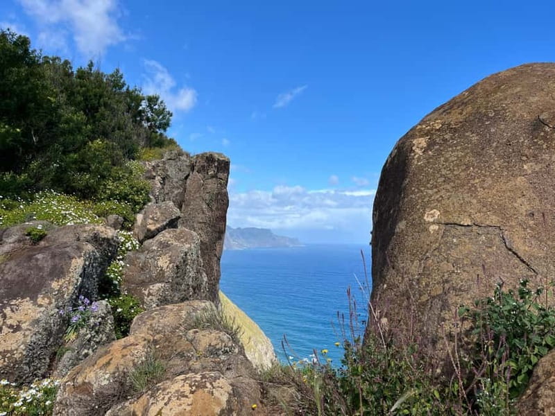 Santana: 4x4 Full-Day Tour to Northeast of Madeira Island - Leaving Machico by 4x4: Where the Day Really Starts