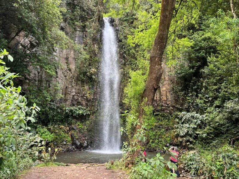 Santana: 4x4 Full-Day Tour to Northeast of Madeira Island - Porto da Cruz Rum Distillery and the Cristo Rei Finish