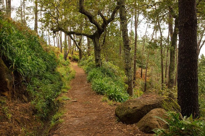 SANTANA Combo Expedition (Jeep & Levada Walk) - Shared Tour - Why this Santana combo is a smart way to see north Madeira