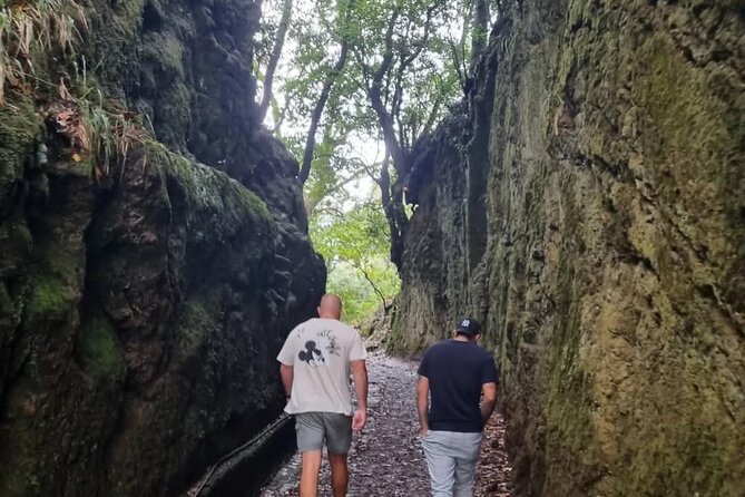 Scenic Hiking and Rum Tasting Experience - Santana’s seven traditional houses: where the culture shows up