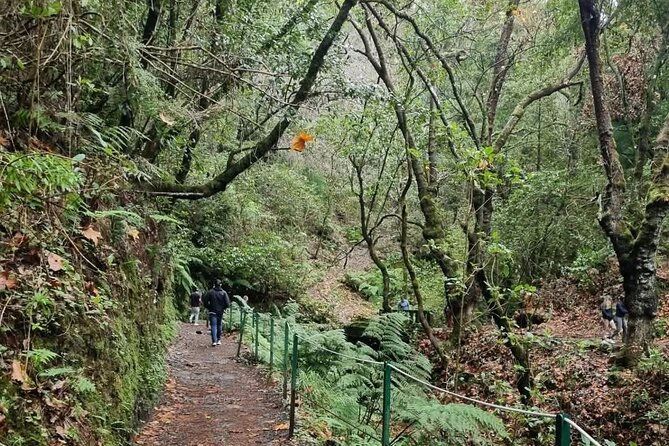 Scenic Hiking and Rum Tasting Experience - Porto da Cruz rum factory sightseeing and tasting