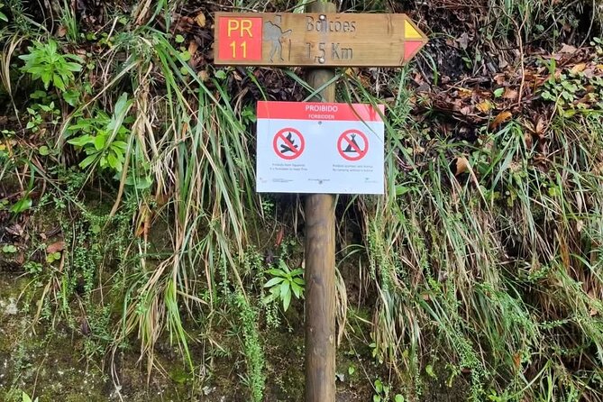 Scenic Hiking and Rum Tasting Experience - Ponta de São Lourenço: dramatic cliffs for a strong finale