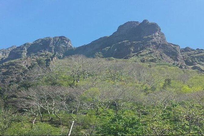 Scenic Route - Nuns Valley Tour - Who this tour fits best (and who might want something longer)