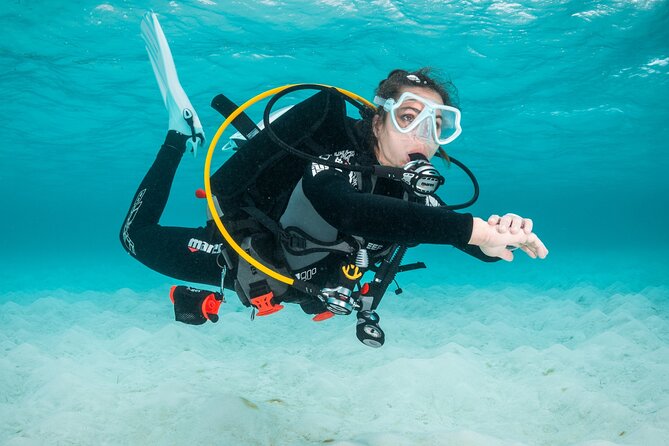 Scuba Diving Experience in Madeira - Classroom Theory: The Stuff That Makes Open Water Feel Possible