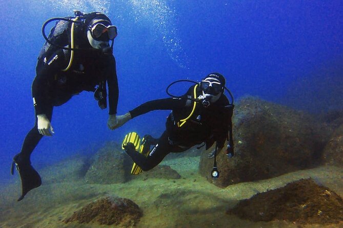 Scuba Diving Experience in Madeira - Your Open-Water Session in Madeira: Max 12 Meters and About 45 Minutes
