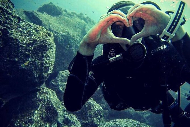 Scuba Diving Experience in Madeira - Price and Value: What You’re Actually Paying For