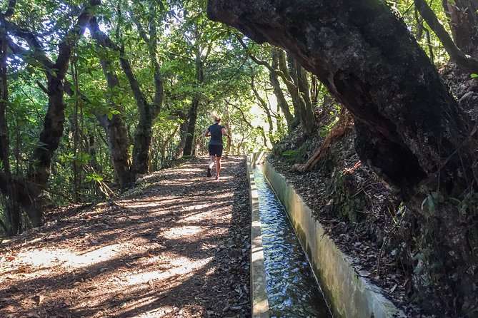Sea 2 Mountain Running Tour (Moderate-Hard) - Vereda Do Larano: The Trail Moment That Sets the Tone
