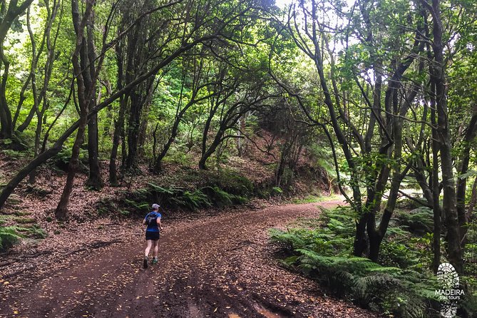 Sea 2 Mountain Running Tour (Moderate-Hard) - The First Climb: From Sea Level to 900m in About 5km