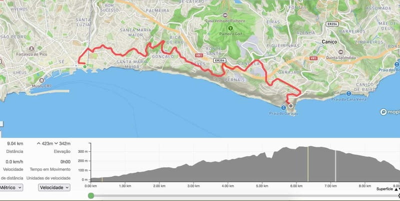 Self-Guided E-Bike Road Tour from Funchal to Garajau - The Radon e-bike setup: real comfort before you roll