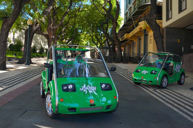Self-Guided Sightseeing Tour on an Eletric Car | Funchal - Stop 5: Câmara de Lobos and the story behind the name
