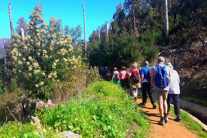 Serra D'Água Valley - Levada Walk - Getting To Serra de Àgua: Pickup, Start Time, and Where the Day Goes