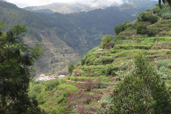 Serra D'Água Valley - Levada Walk - The Levada Experience: Expect a Calm Pace on a Real Madeira Trail
