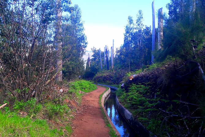 Serra D'Água Valley - Levada Walk - Shoes, Weather, and Safety: The Stuff That Decides How Fun This Is
