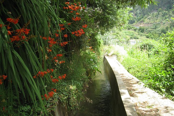 Serra D'Água Valley - Levada Walk - Getting Your Money’s Worth: Price, What’s Included, and What Isn’t