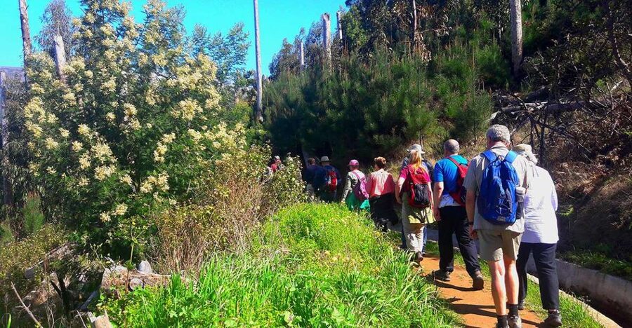 Serra de Água Valley Levada Walk - Where Serra de Água Valley Gets You the Best Madeira “High-Up” Views
