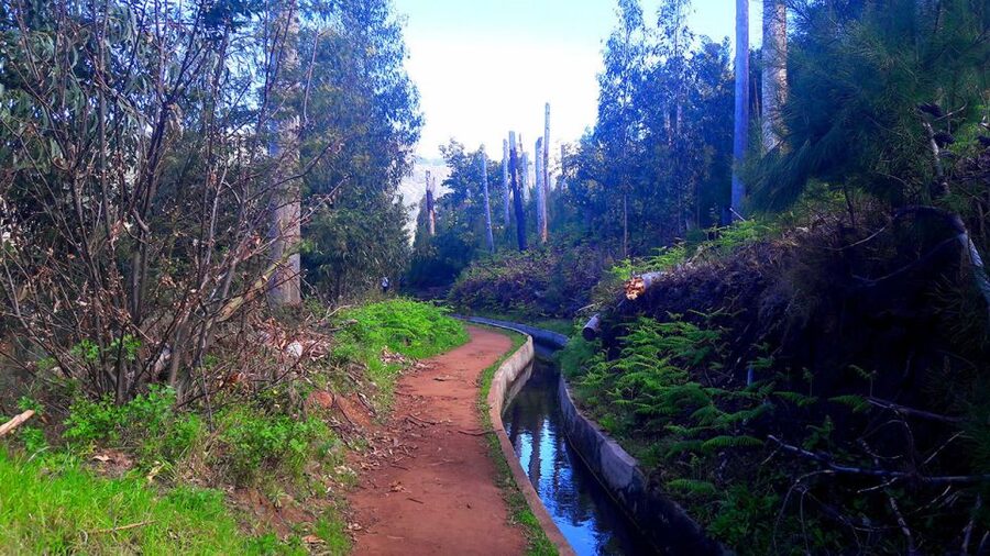 Serra de Água Valley Levada Walk - Pickup, the Minibus Drive, and the Start Point Setup