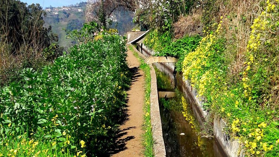 Serra de Água Valley Levada Walk - Price and Value: Is $38 a Good Deal for Madeira?