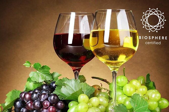 Signature Wine Tastings, Skywalk, Nature 4x4 Open Roof Expedition - Cabo Girão Skywalk: the best way to start with a view