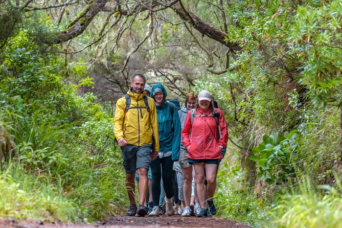 Skywalk 4x4 Experience and Rabacal 25 Fountains Levada Walk - Funchal Pickup, Start Time, and How the Day Really Flows
