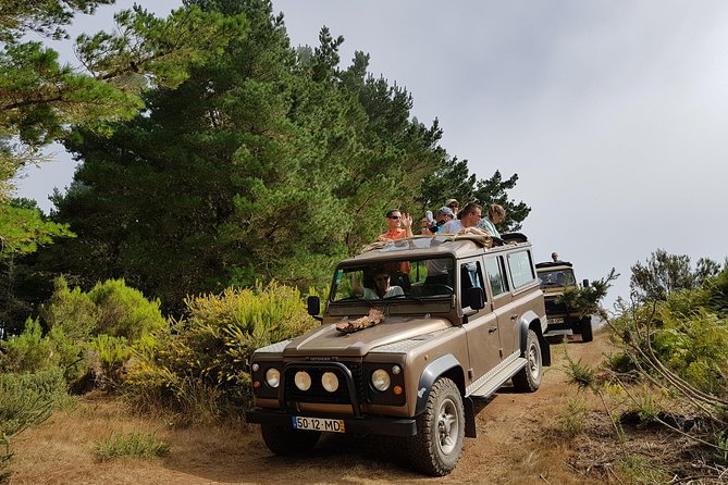 Skywalk 4x4 Experience and Rabacal 25 Fountains Levada Walk - The Jeep Ride Between Highlights: Adventure With a Safety Net