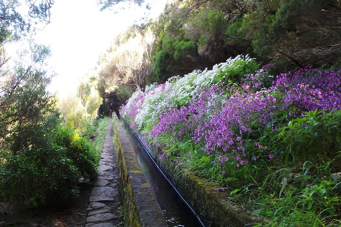 Skywalk 4x4 Experience and Rabacal 25 Fountains Levada Walk - What Guides Add (Even When You Think You’ll Learn Enough Yourself)