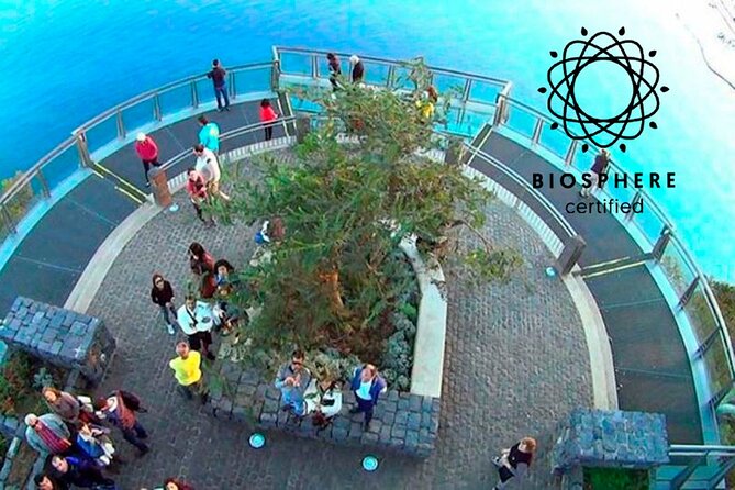 Skywalk, Amazing Views & Wine Tasting in Open Roof 4x4 Adventure - 4x4 adventure basics: what the timing and format really mean for you