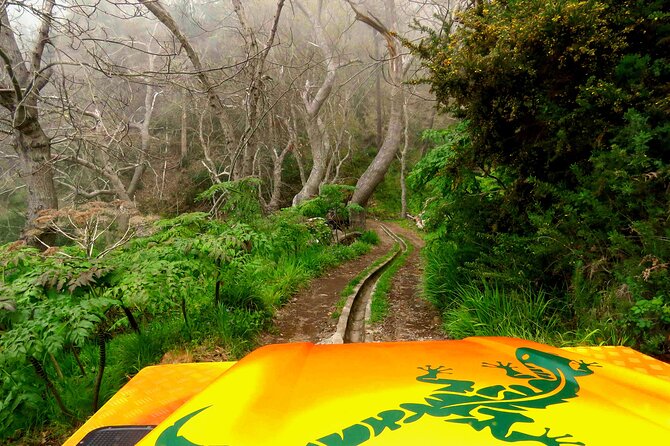 Skywalk, Vineyards, Landscapes and 4x4 Experience in Madeira - Pickup Fees, Timing, and How to Plan Your Day