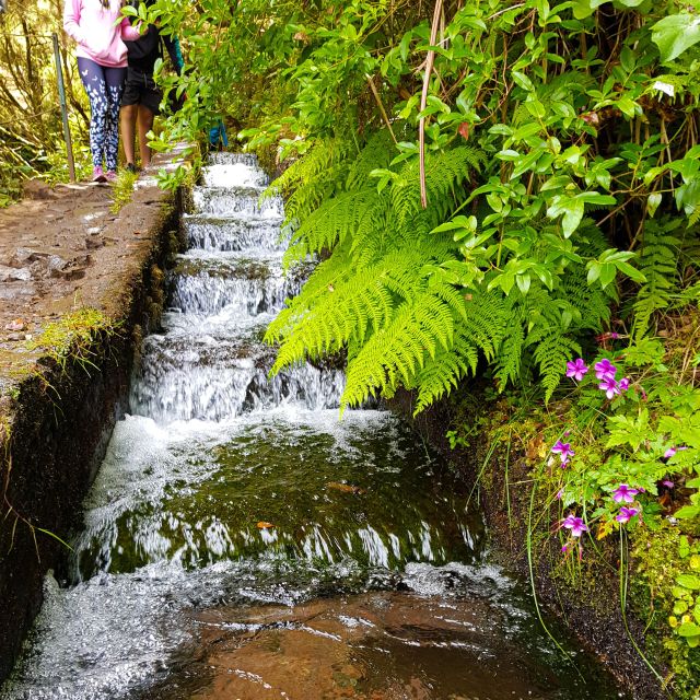 Small Group Walks Rabaçal 25 Fontes - Key things that make this walk worth your time