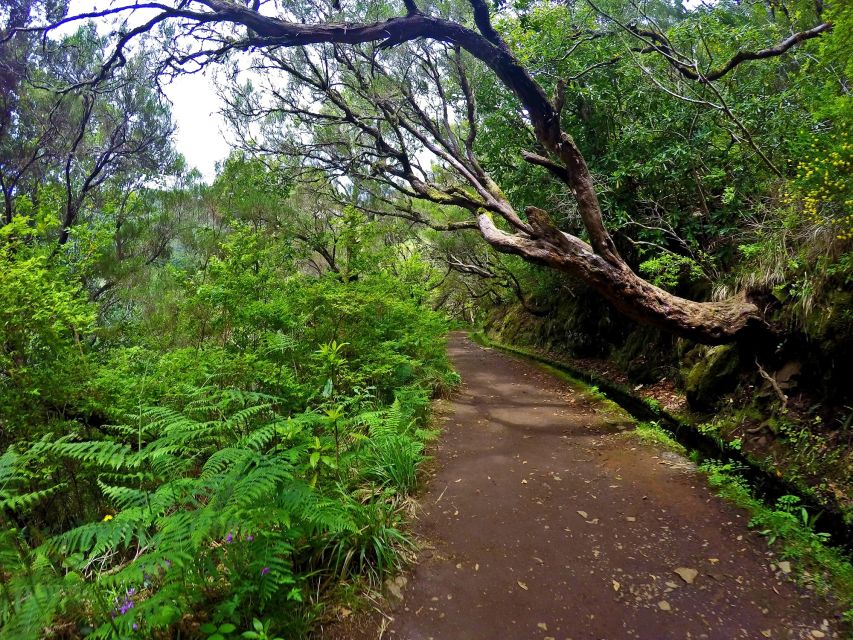 Small Group Walks Rabaçal 25 Fontes - Clothing and gear: what to bring (and what helps a lot)