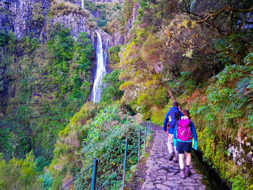 Small Group Walks Rabaçal 25 Fontes - Walking through Laurissilva: more than a pretty forest